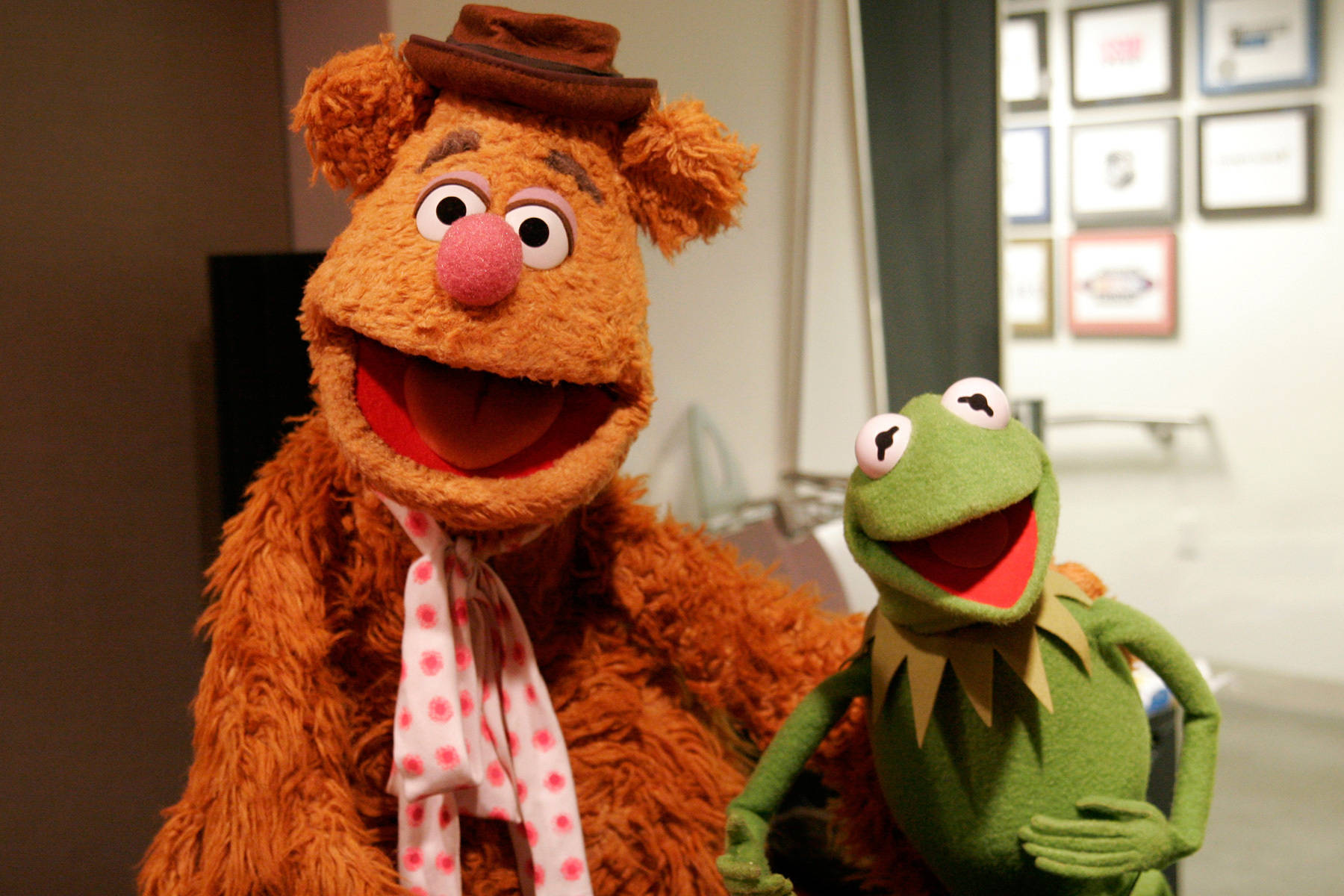 Big Fozzie Bear And Kermit Frog Background