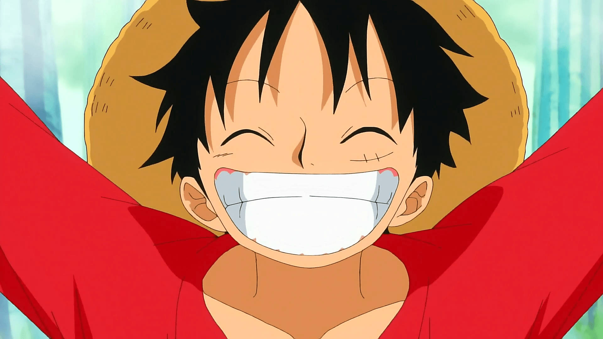 Big Luffy Smile