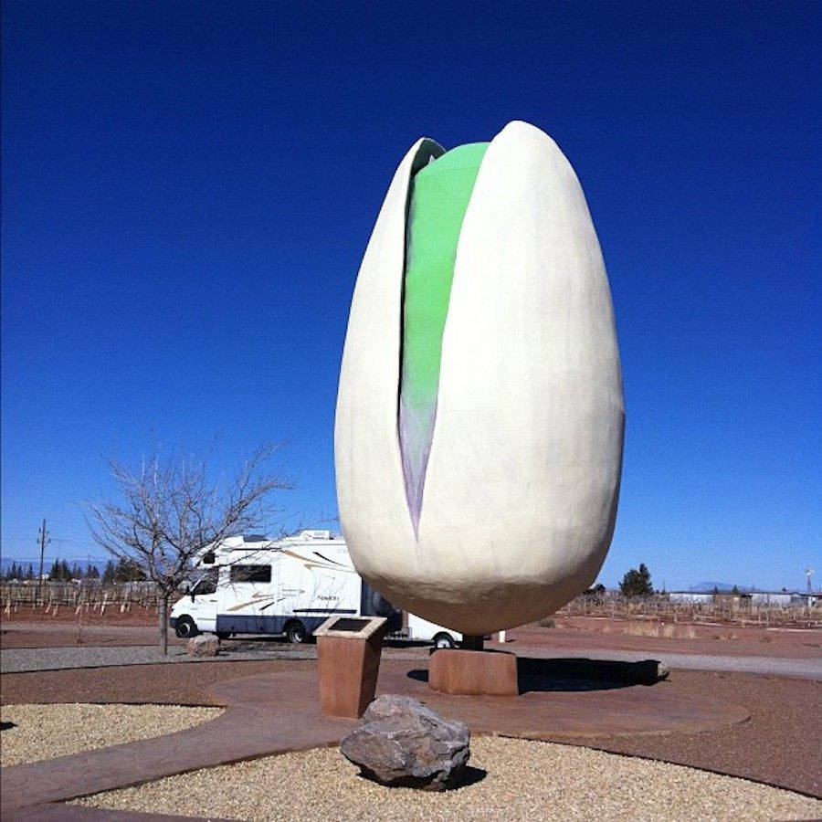 Big Pistachio Nut