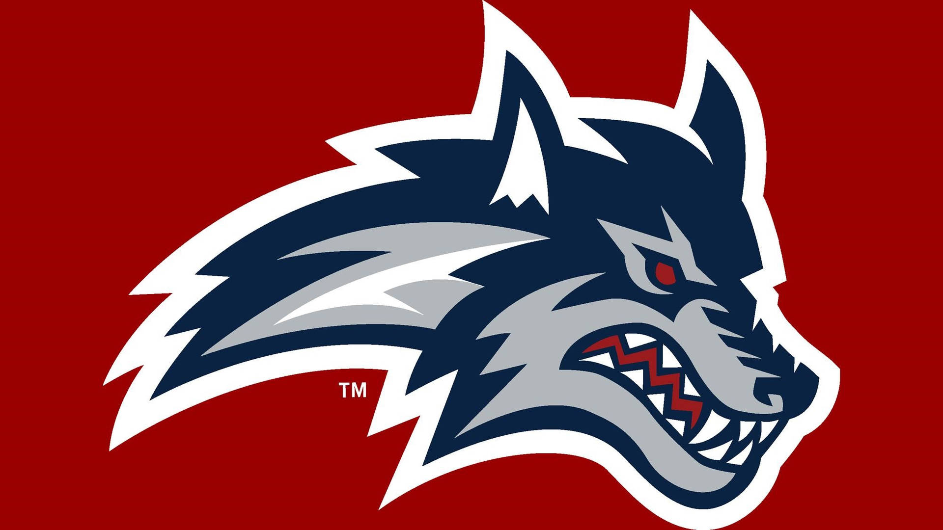 Big Stony Brook University Seawolves Logo Background