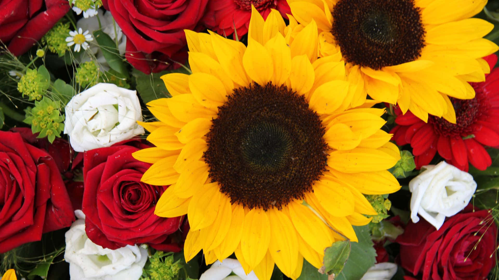 Big Sunflowers And Small Roses Background