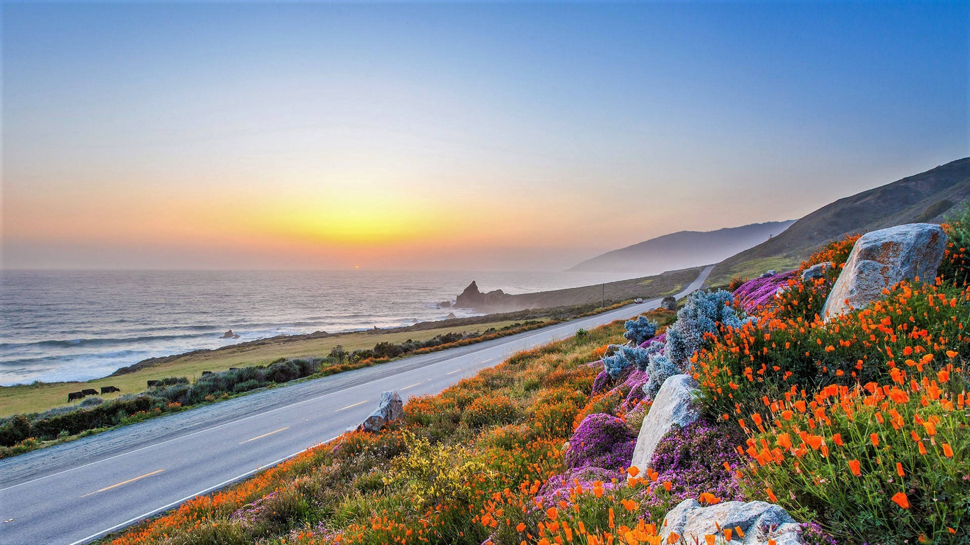Big Sur Flowers And Sunset