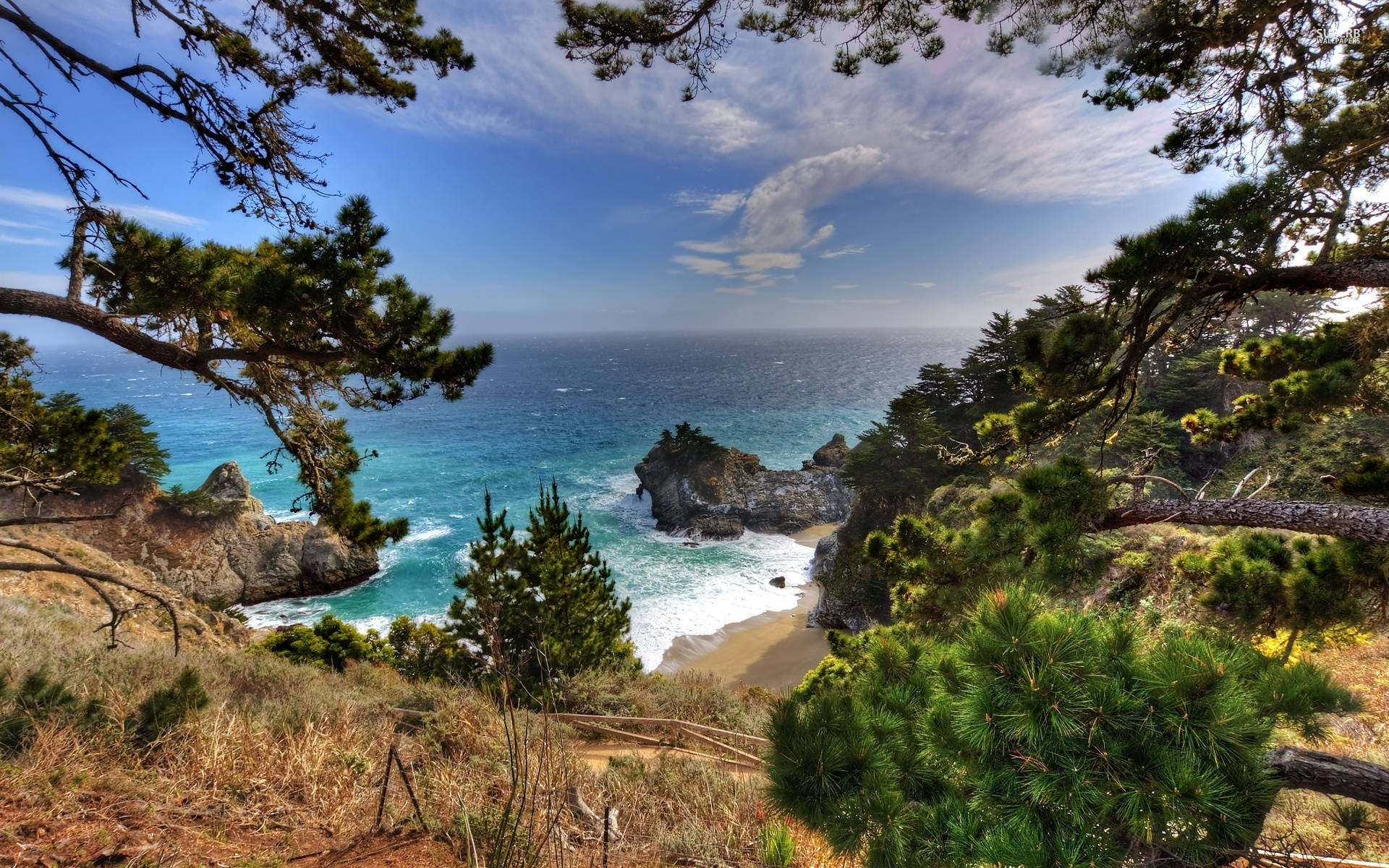 Big Sur Sea Framed By Trees