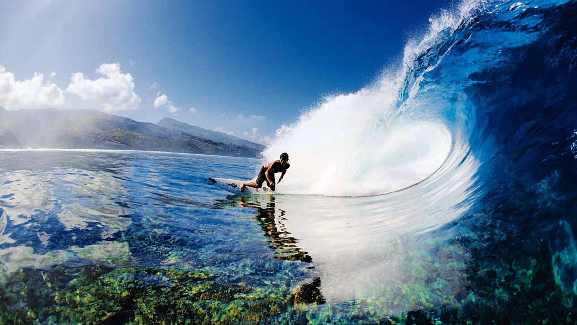 Big Wave Surfer Hd Sports Background