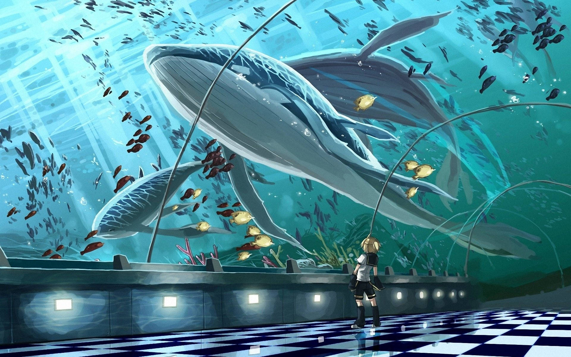 Big Whales In Tunnel Aquarium Background