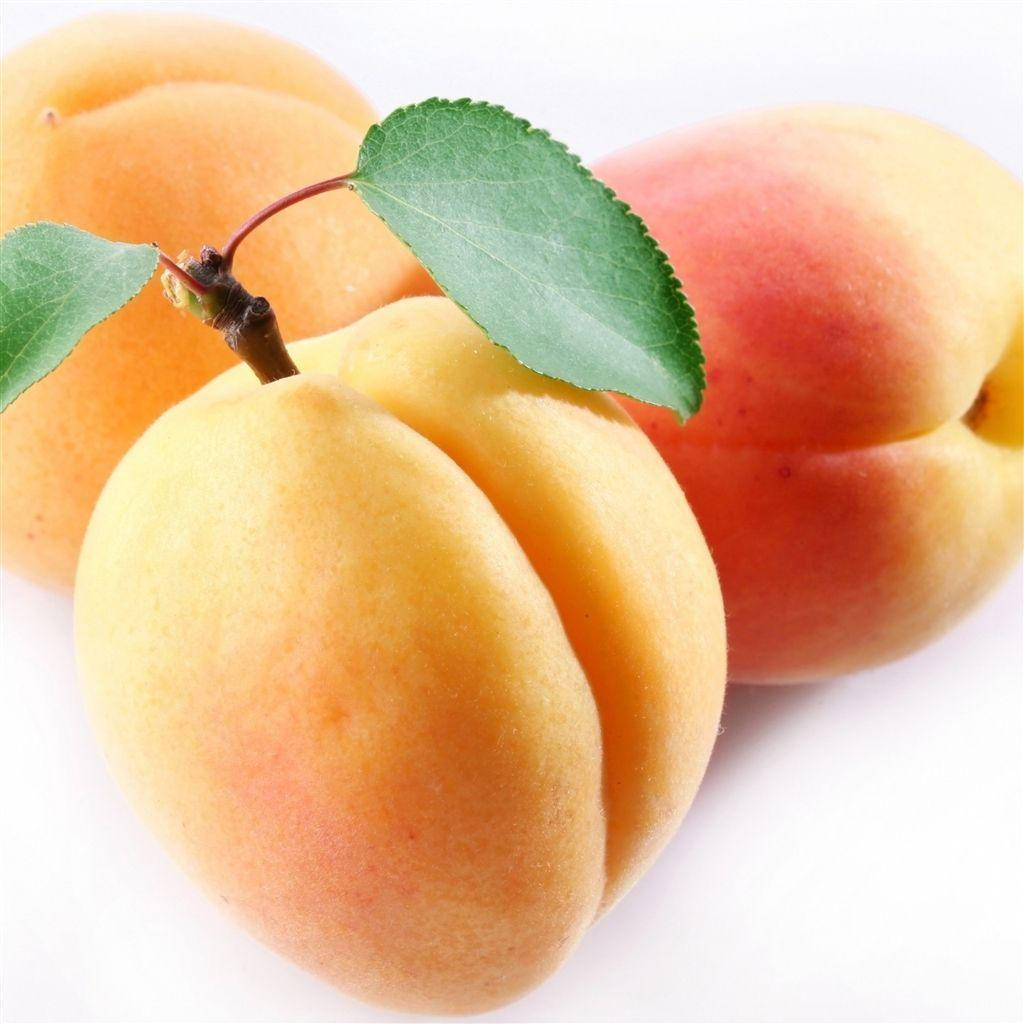 Big Yellow Apricot Fruits