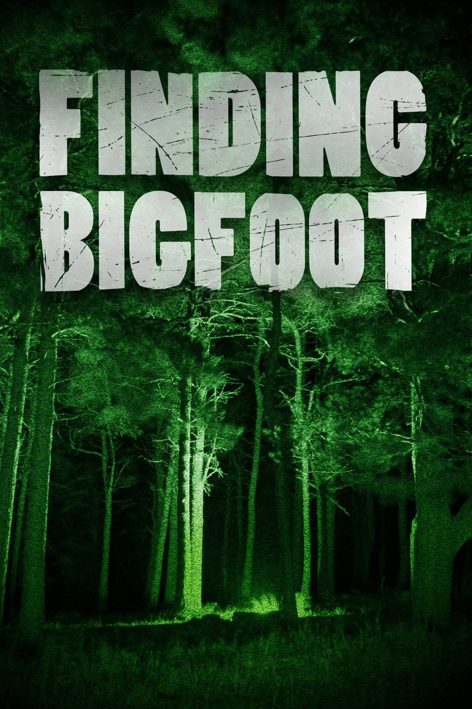 Bigfoot Finding Bigfoot Spooky Forest Background