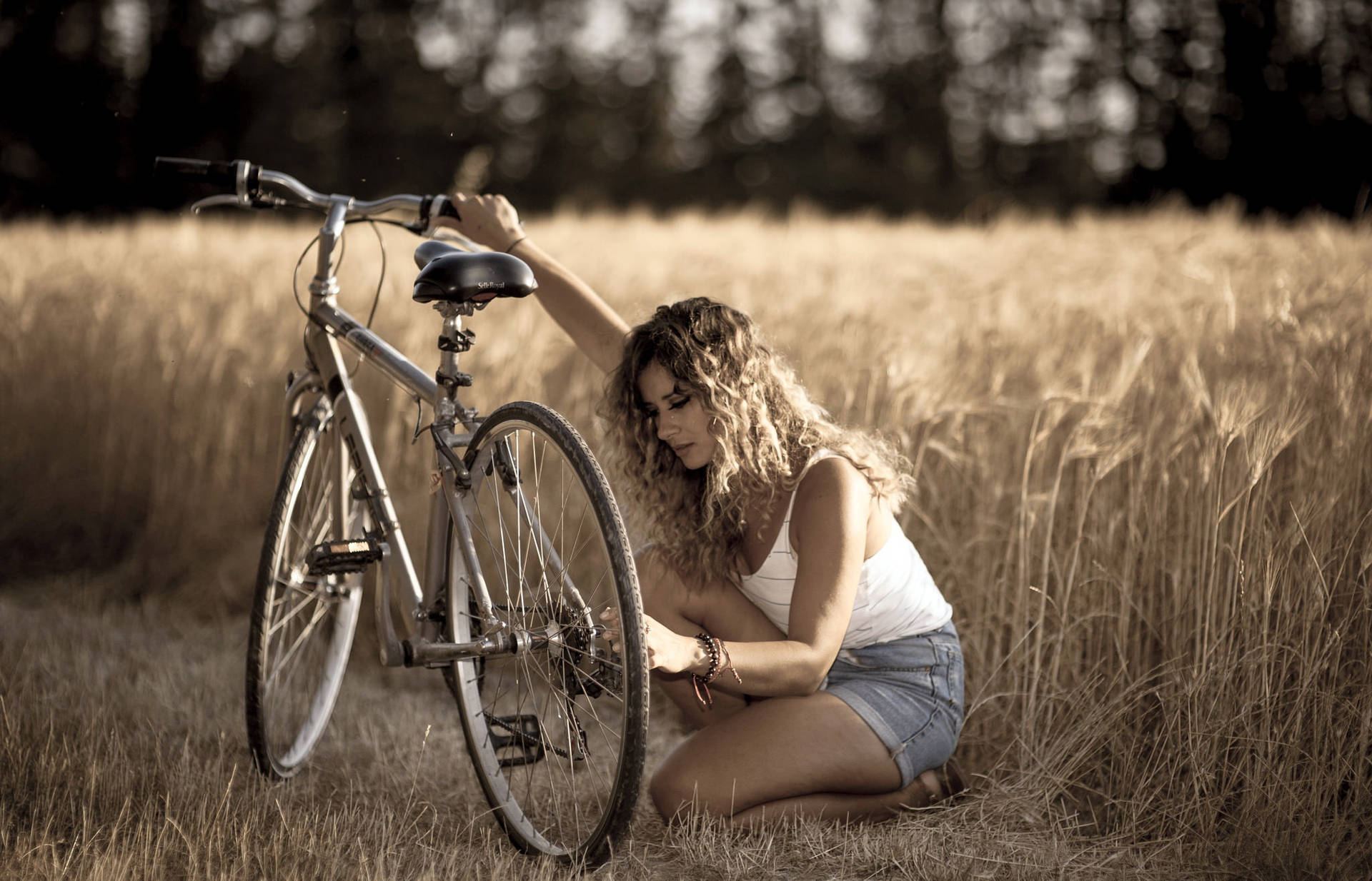 Bike Lover In A Wheat Field Background