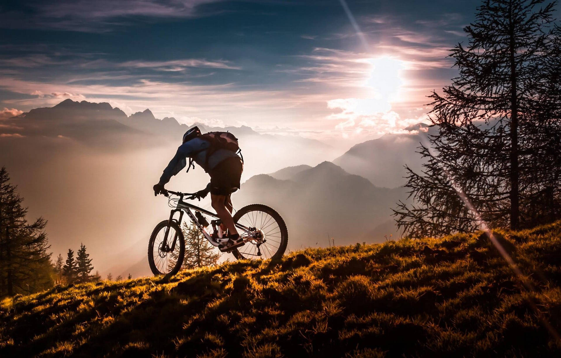 Bike Ride On Trails