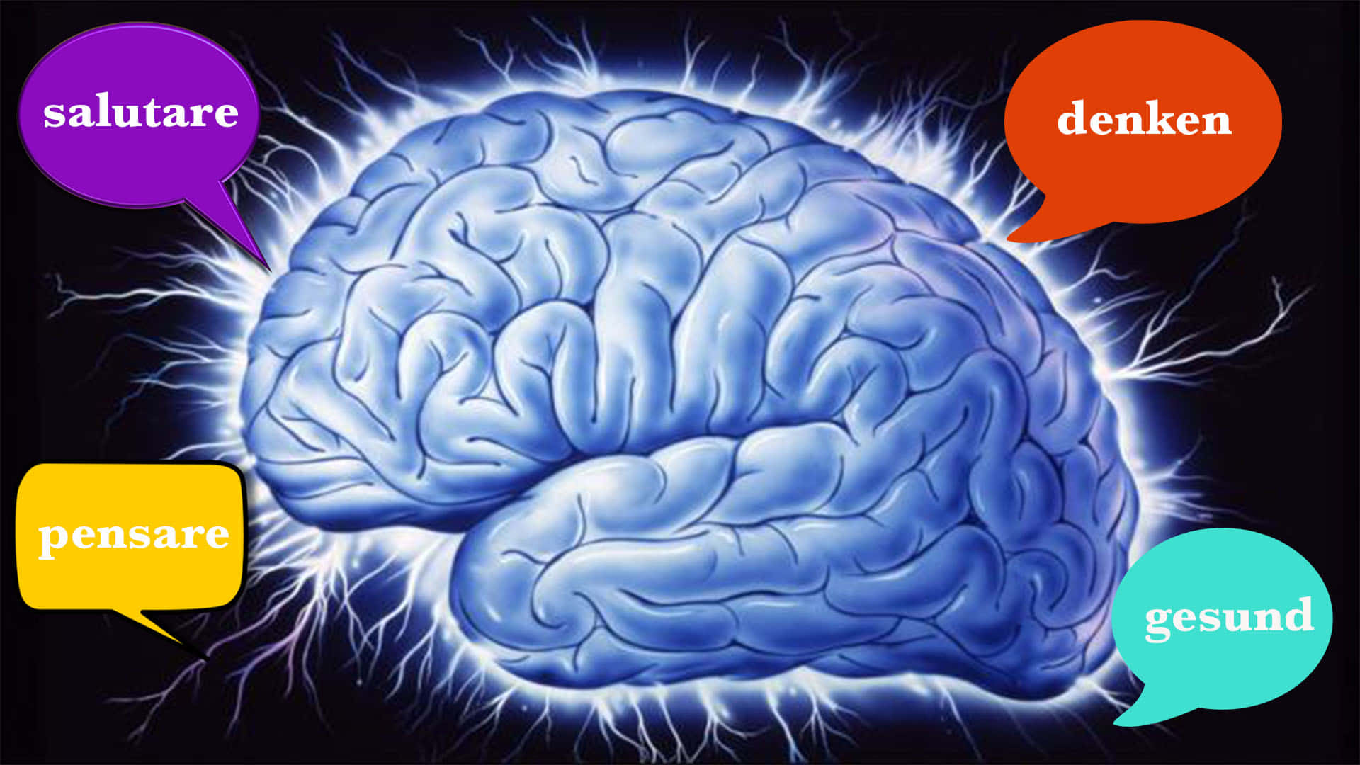 Bilingual Blue Brain