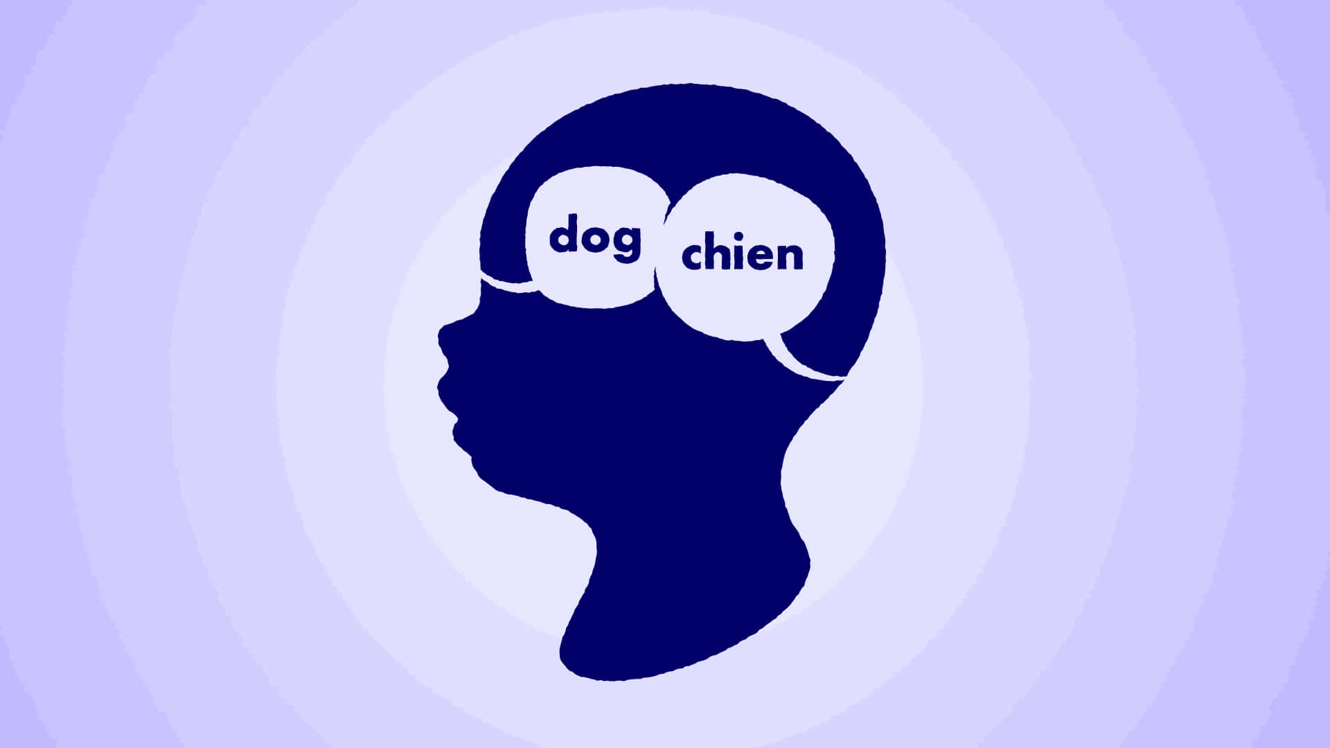 Bilingual Chien French Word Background