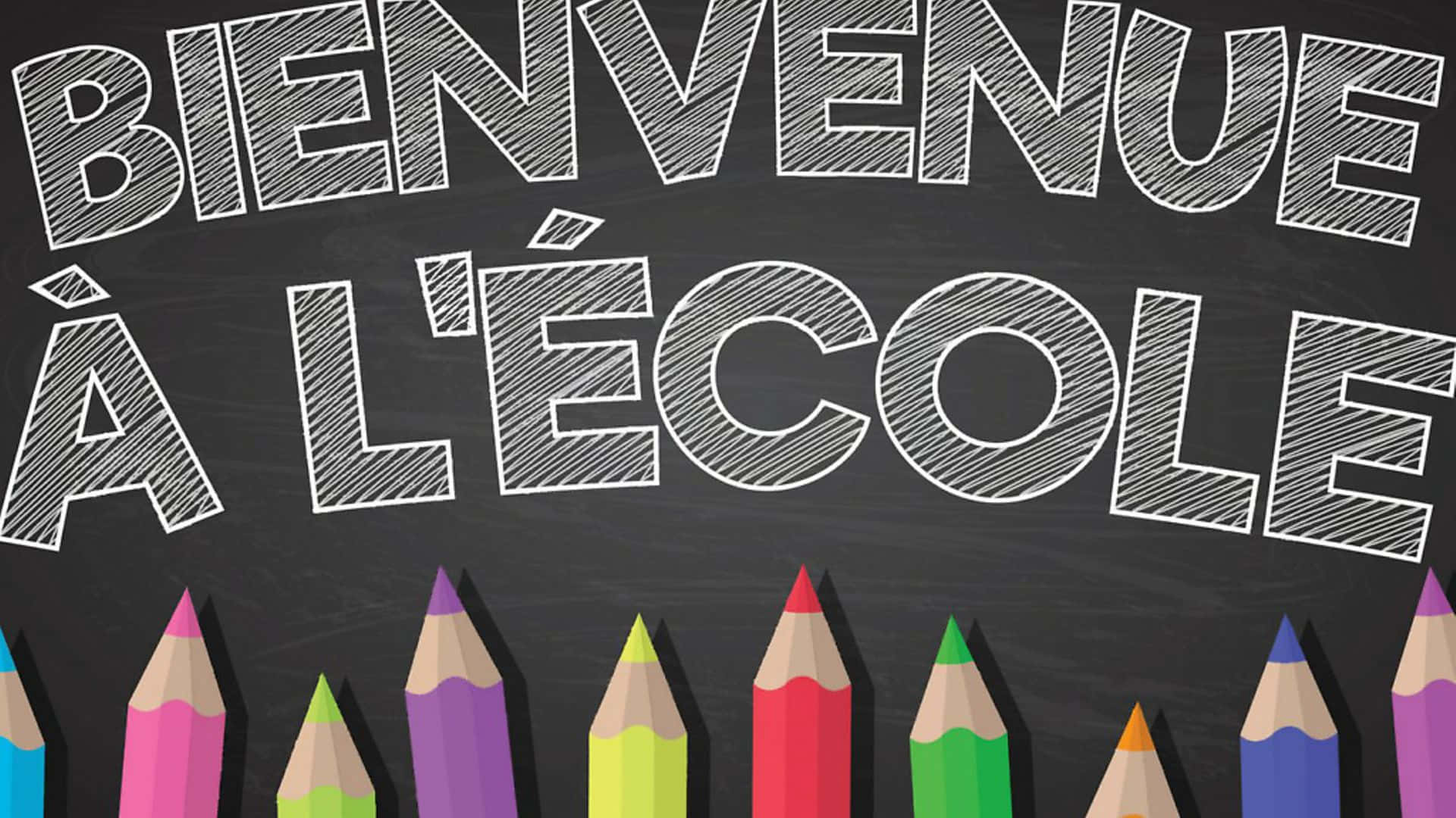 Bilingual French Word Background