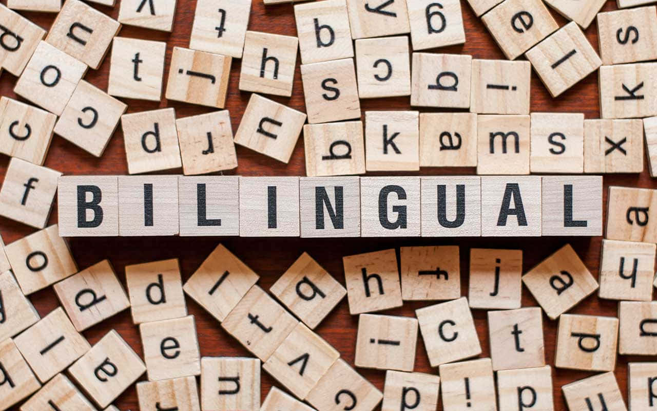 Bilingual Scrabble Words Background