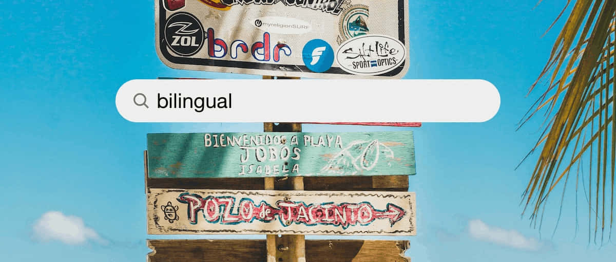 Bilingual Search Bar 2