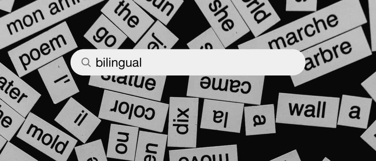 Bilingual Search Bar Background