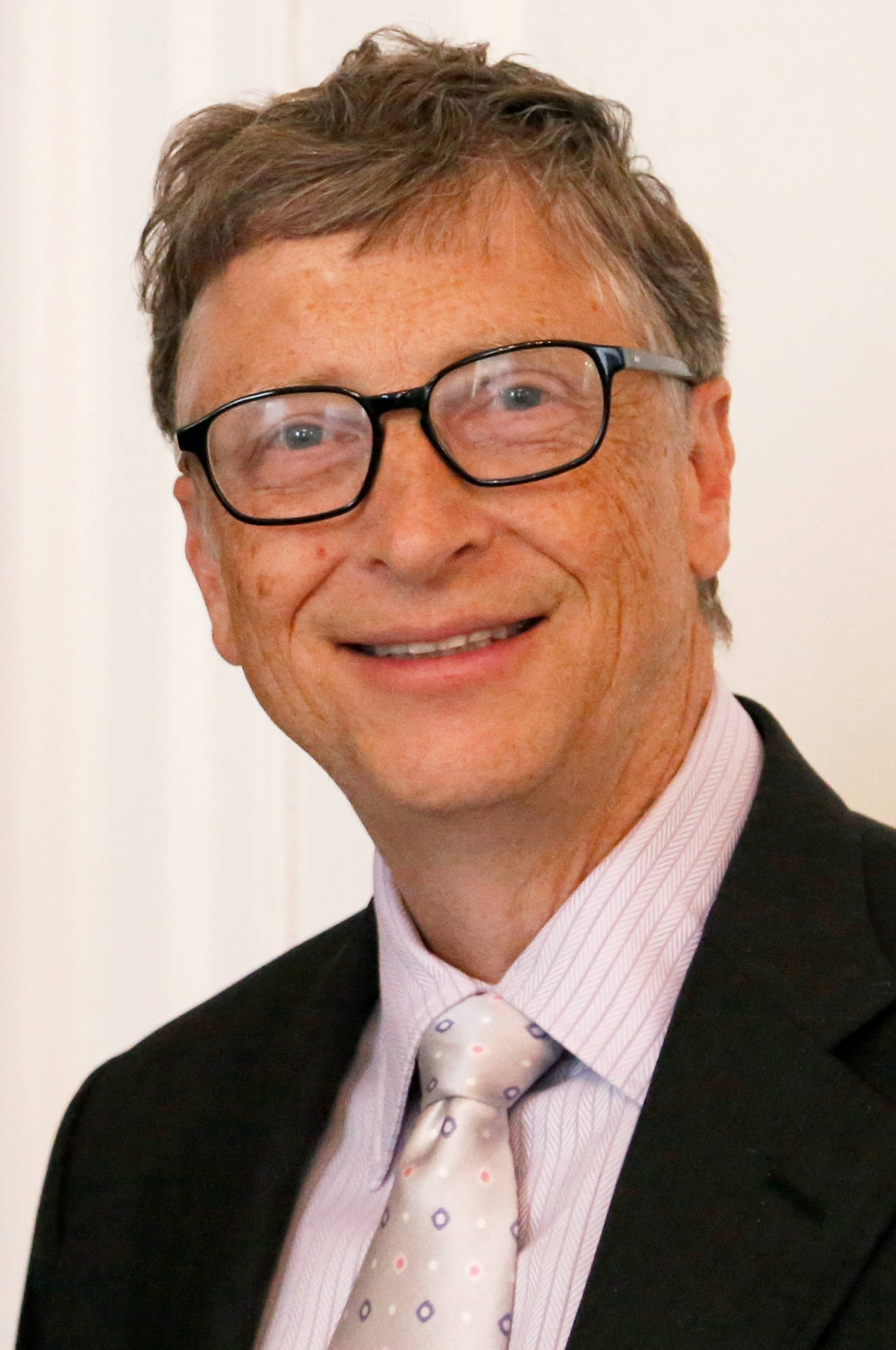 Bill Gates Software Developer Background