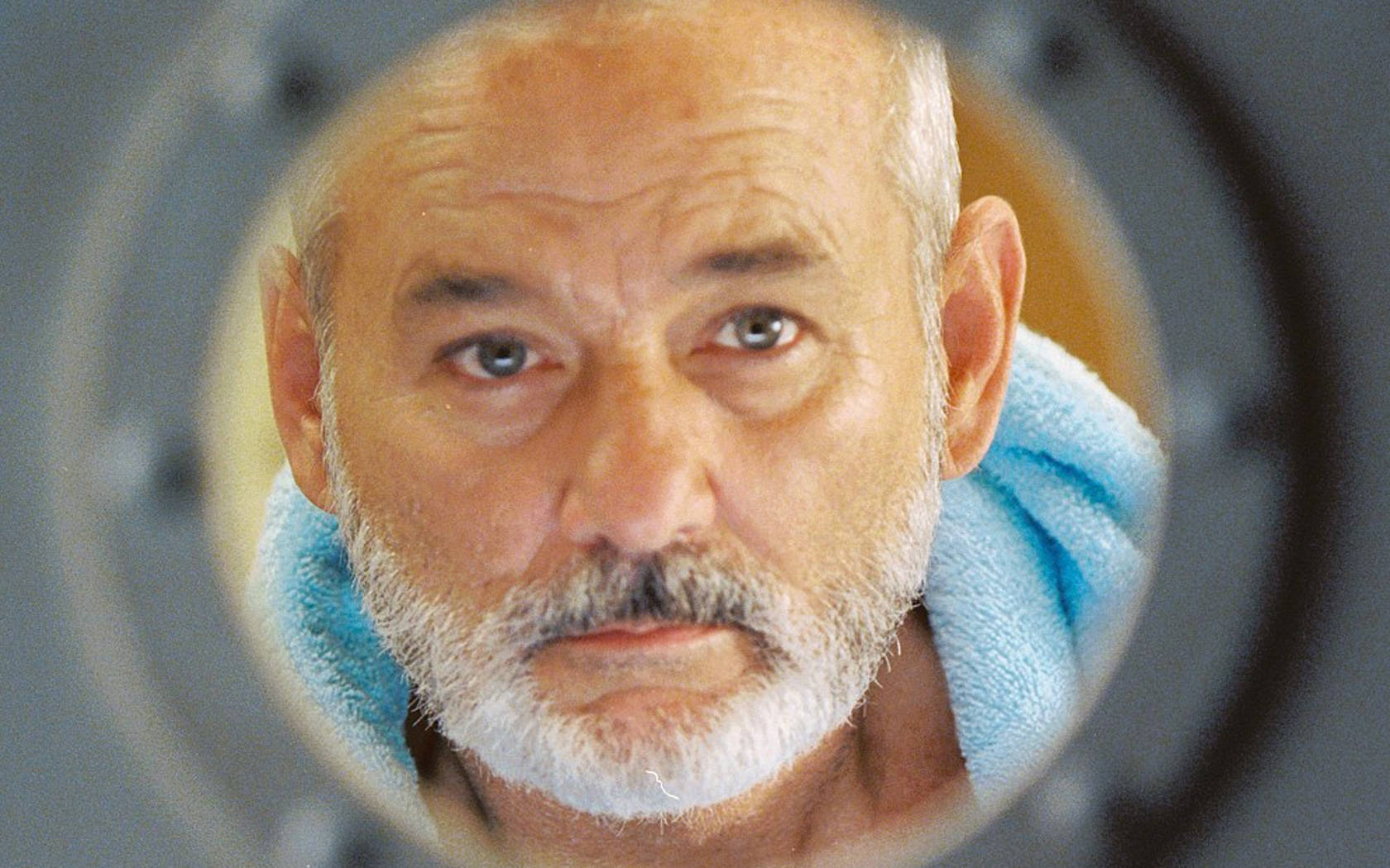 Bill Murray The Life Aquatic With Steve Zissou Background