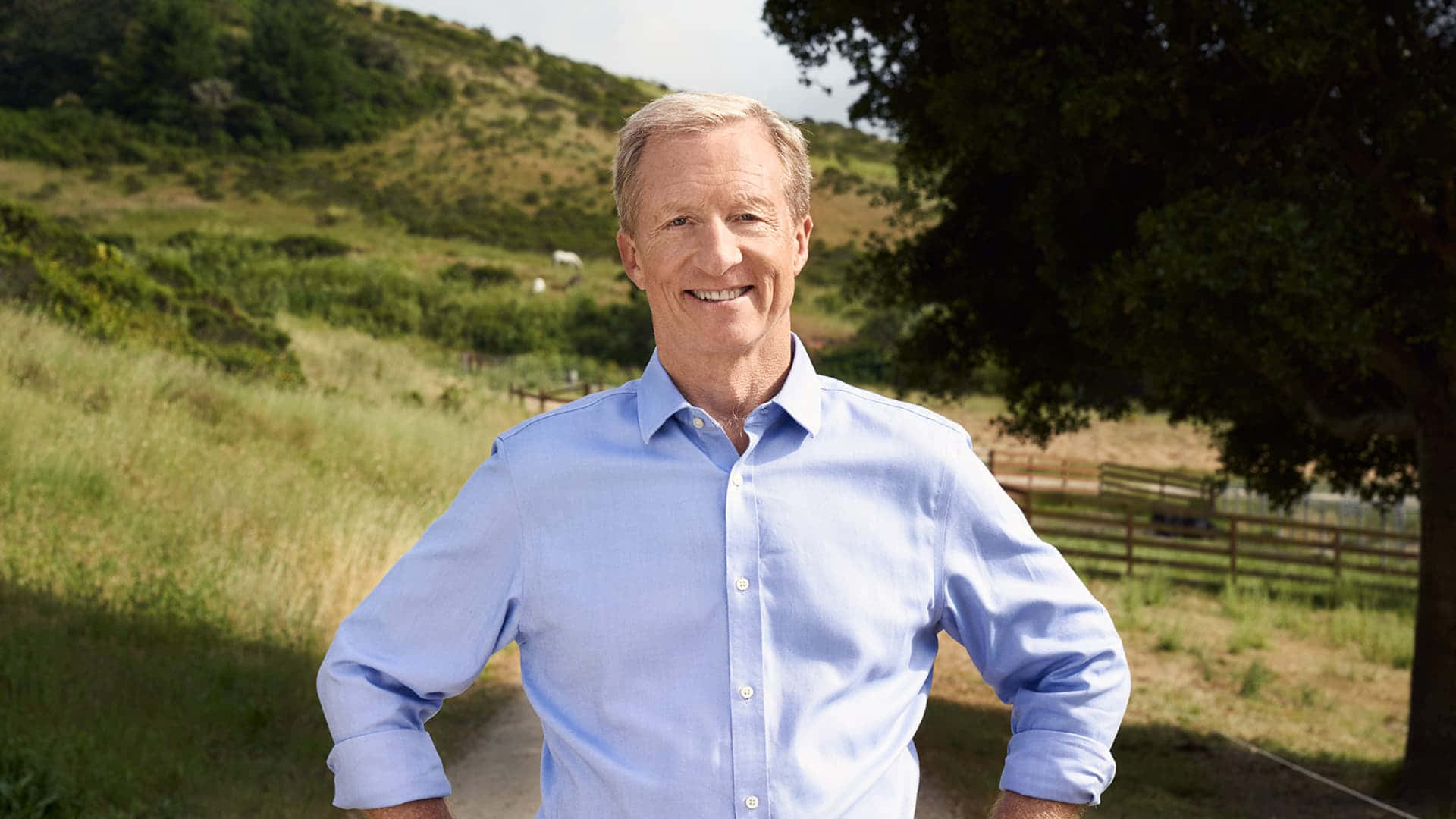 Billionaire Tom Stayer Hd