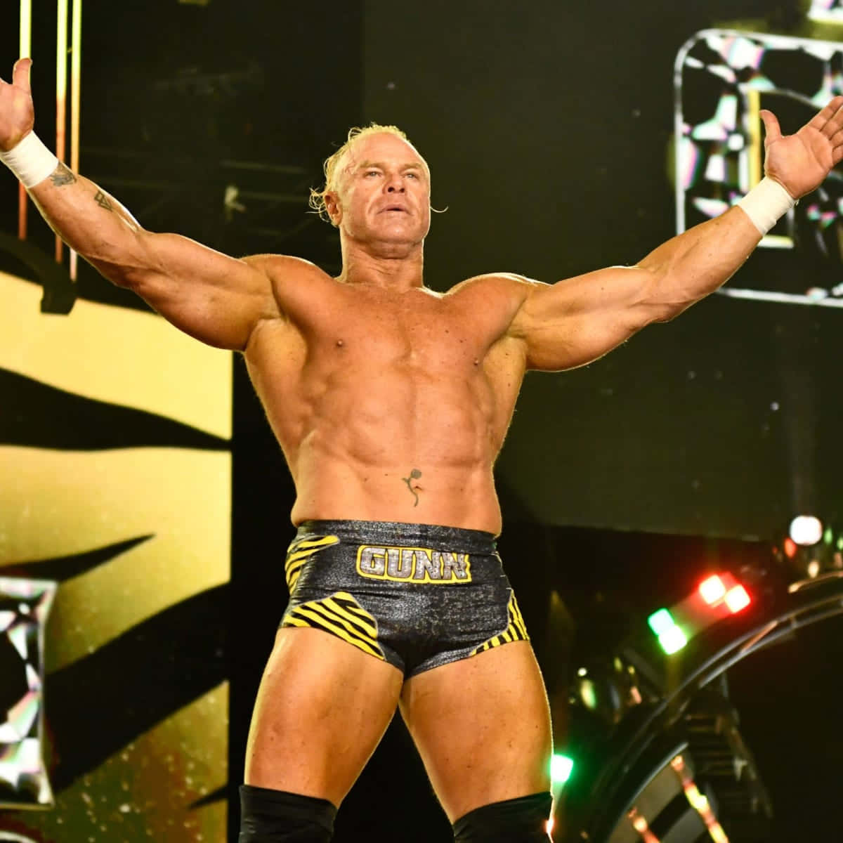 Billy Gunn Wwe Hall Of Famer Background