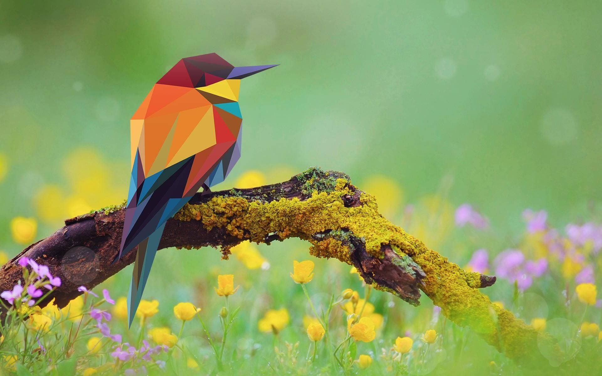 Bird Abstract Art Background