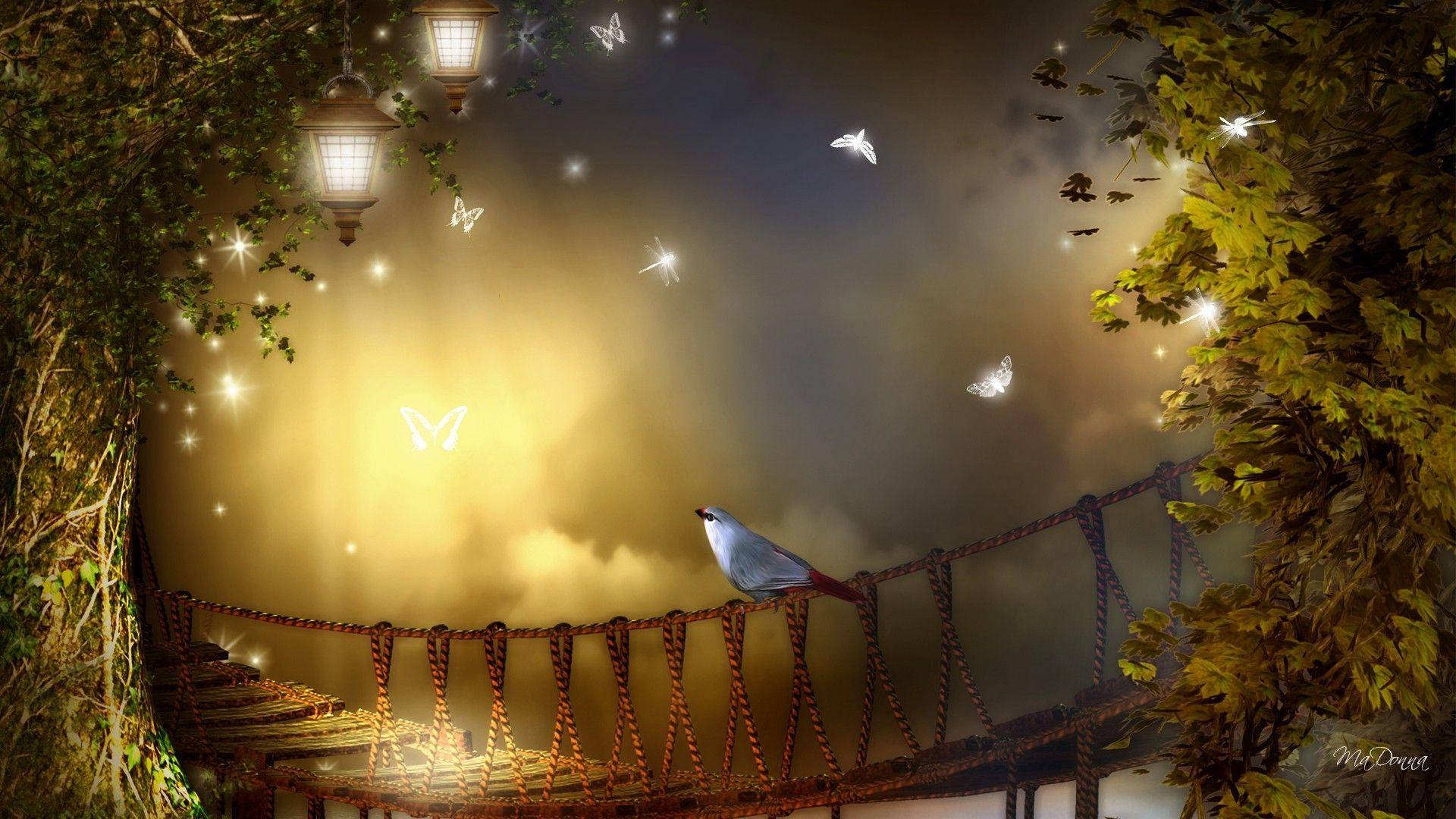 Bird And Night Butterfly Background