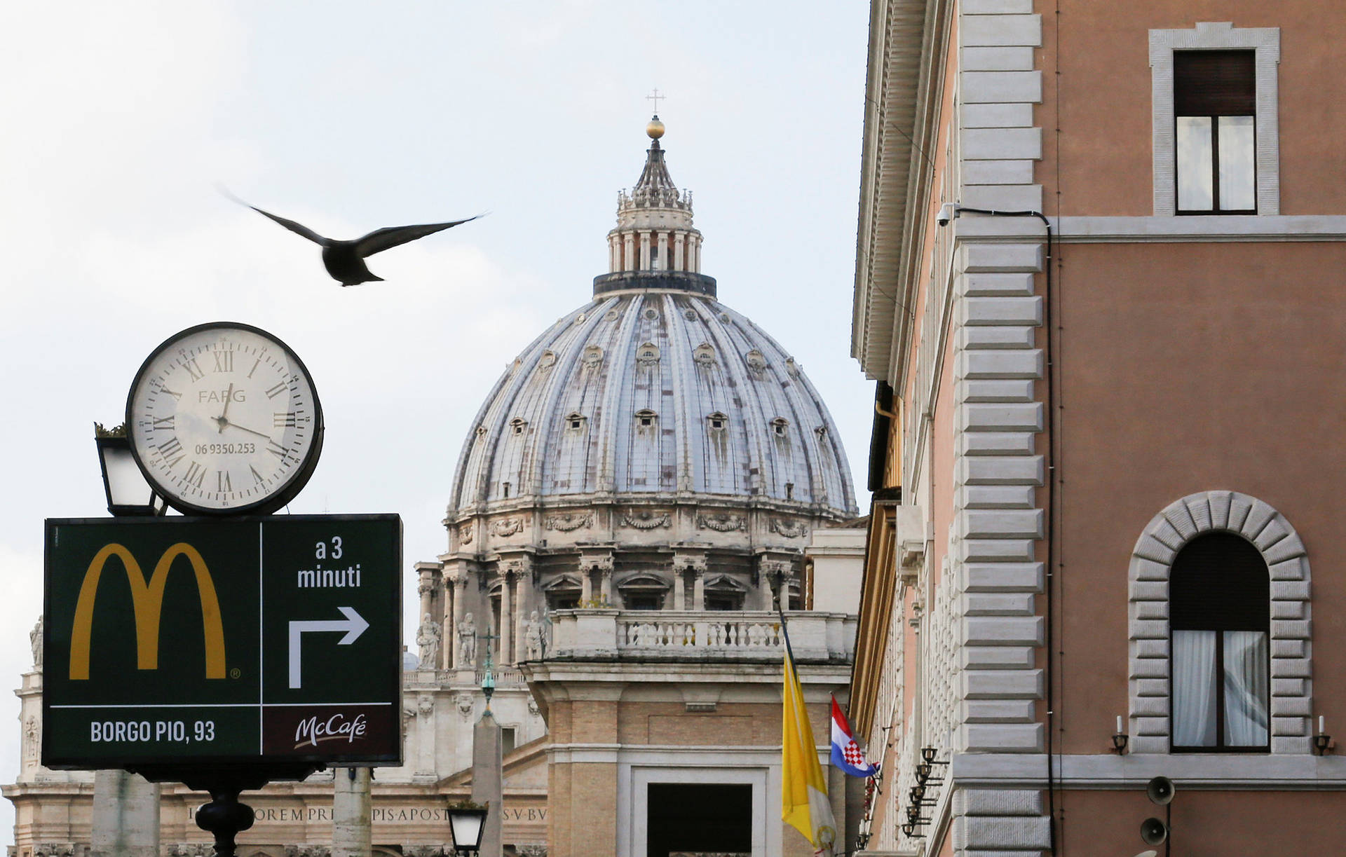 Bird Flying In Vatican Background