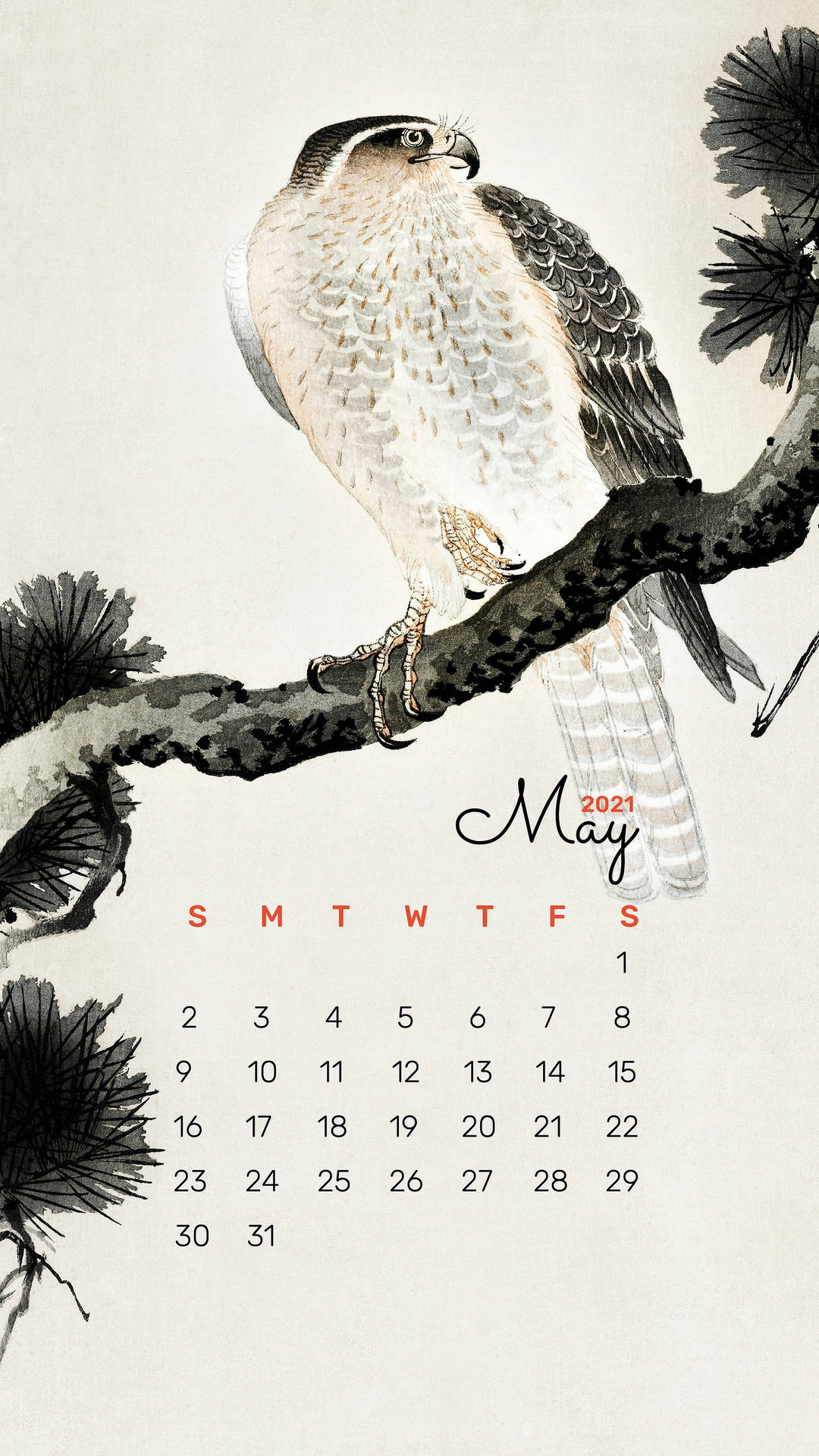 Bird Painting May Calendar 2021 Background
