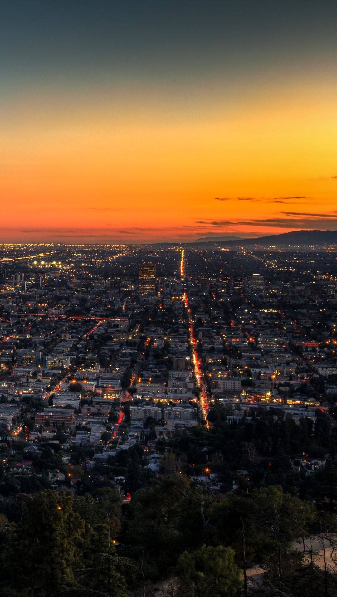 Bird's Eye View Los Angeles City Nighttime Background