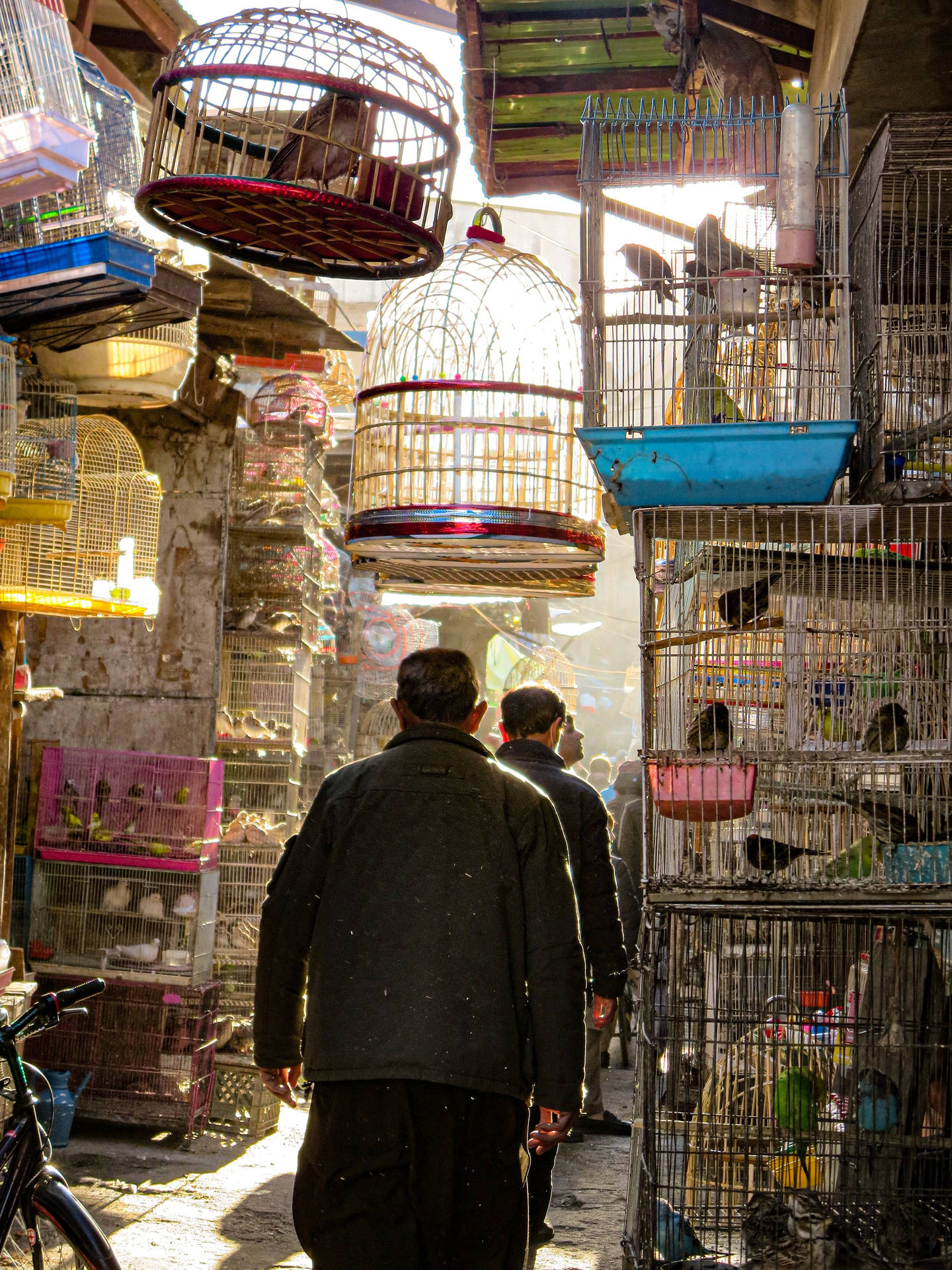 Bird's Market Kabul Background