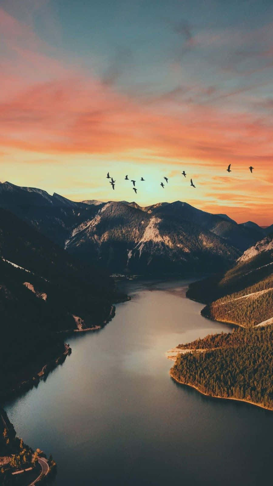 Bird Silhouette On Mountains Sunset Background