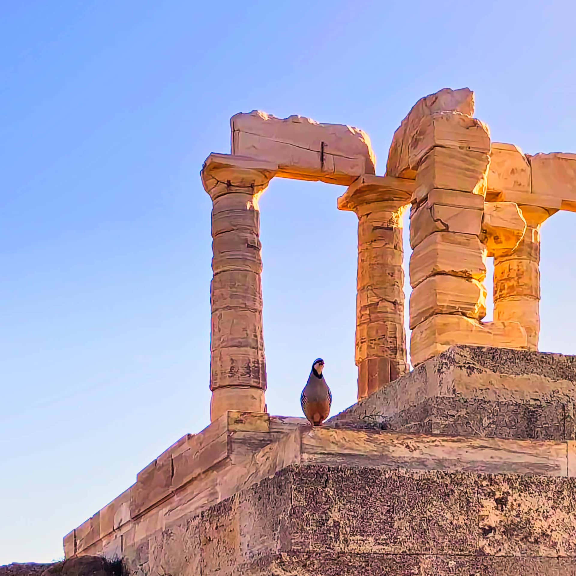 Bird Sitting Atop Ruins Sounion Background