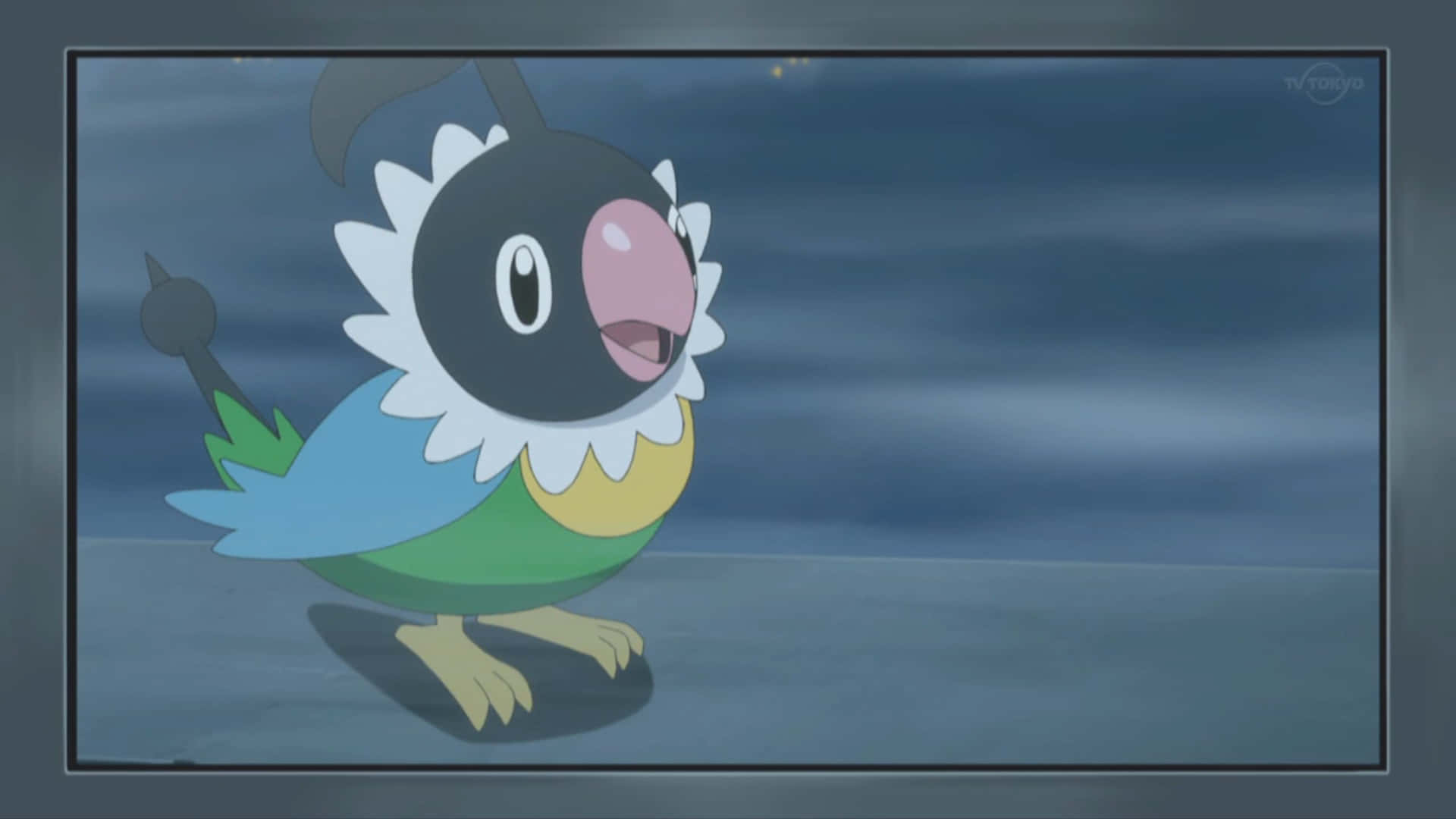 Bird Type Pokémon Chatot