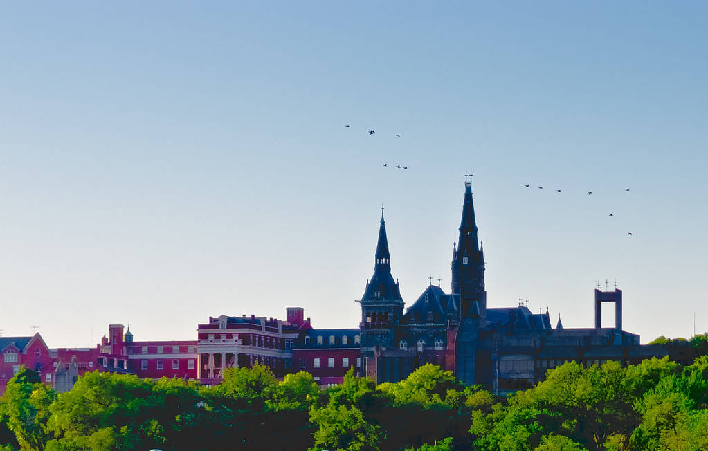 Birds Above Georgetown University Background