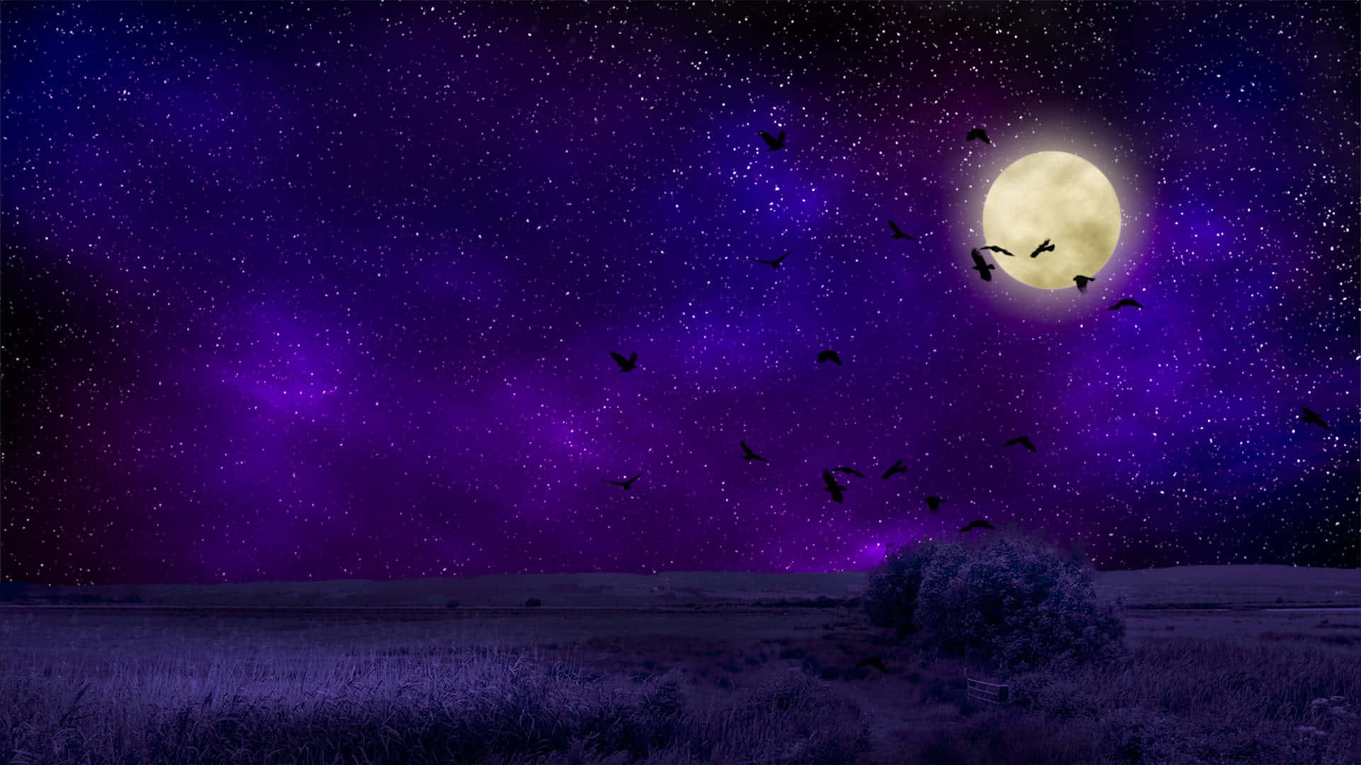 Birds And Starry Night Sky Moon Background