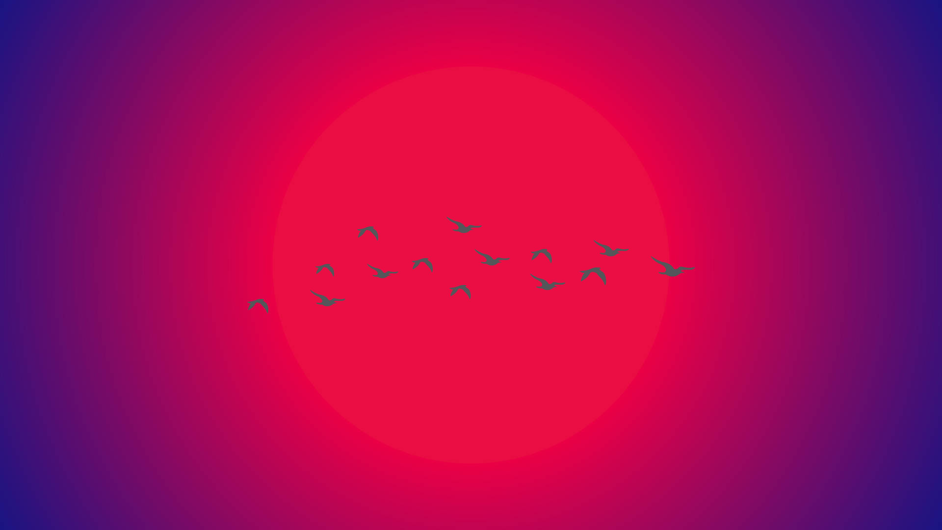 Birds Flying Against The Sun Minimalist Aesthetic Laptop