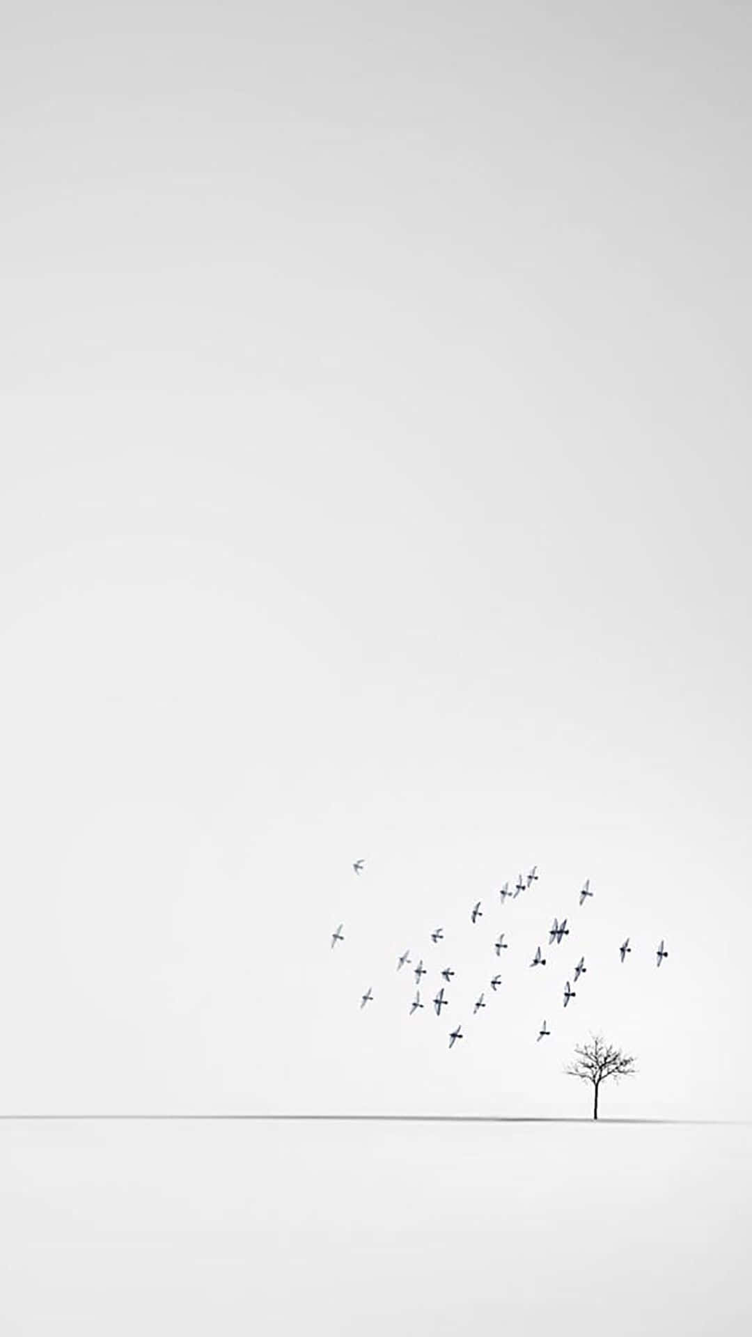 Birds Flying White Phone Background