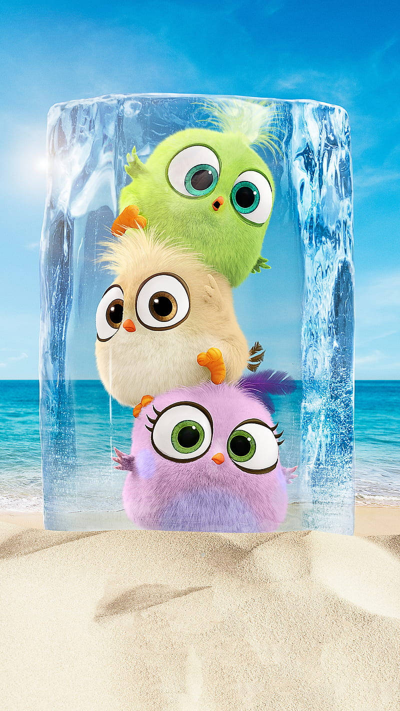 Birds Ice Block Cute 3d Phone Background