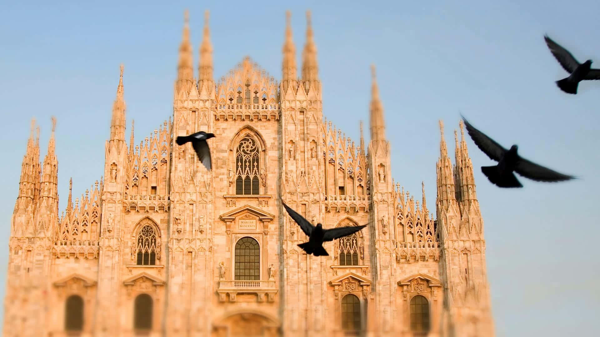 Birds In Front Of Milan Cathedral Background