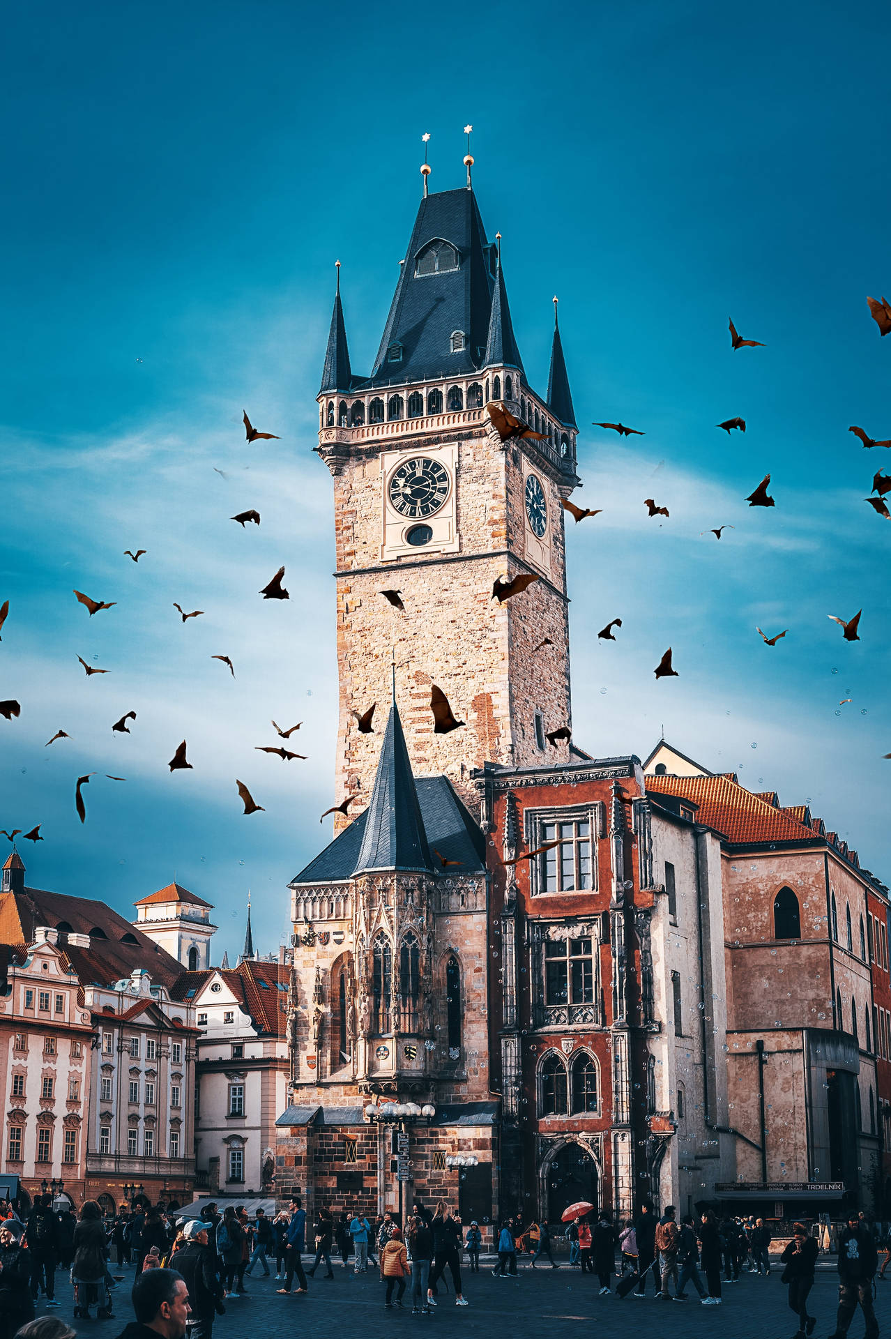 Birds Over Prague Czech Republic Background