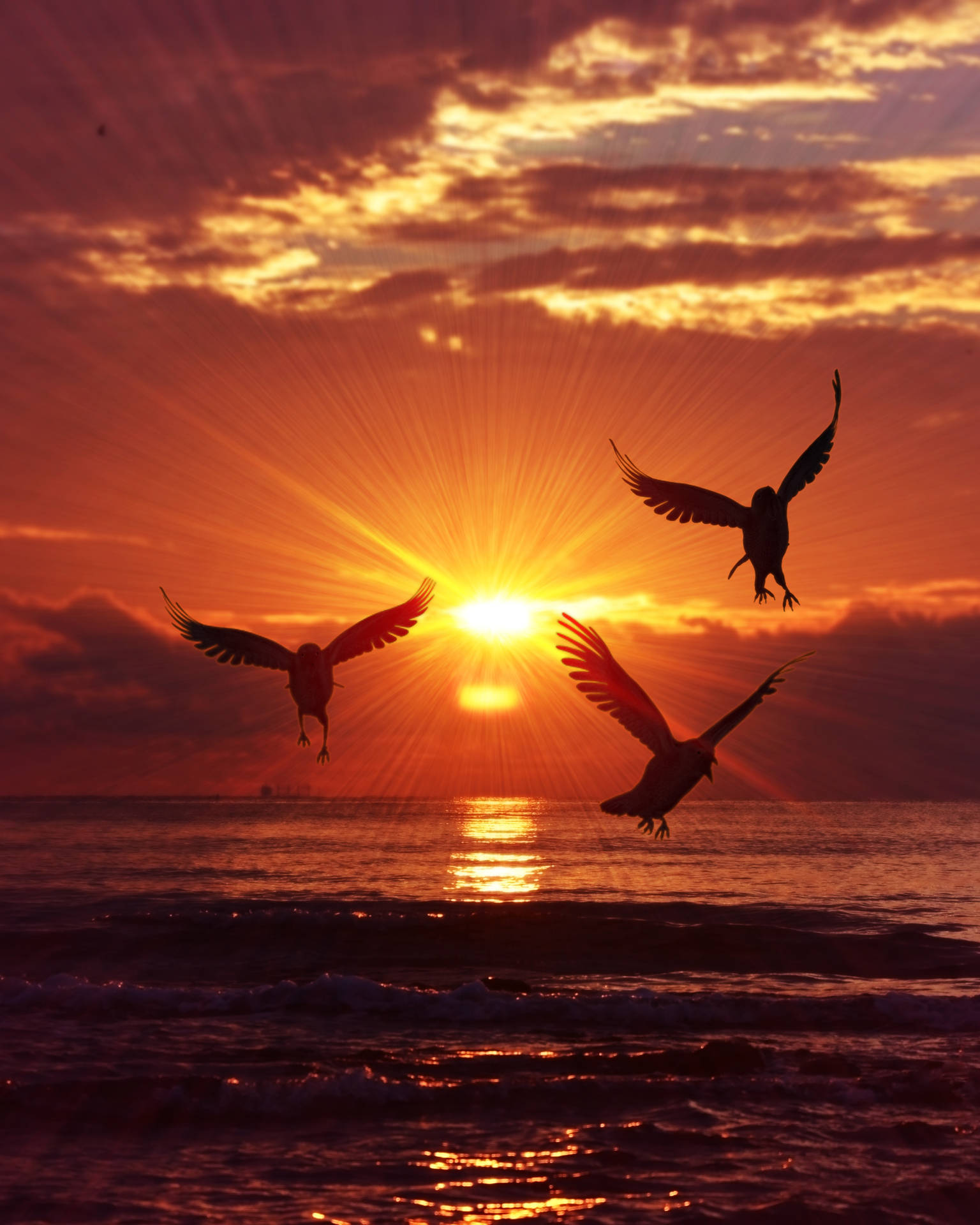 Birds Silhouettes Sea Sunrise Background