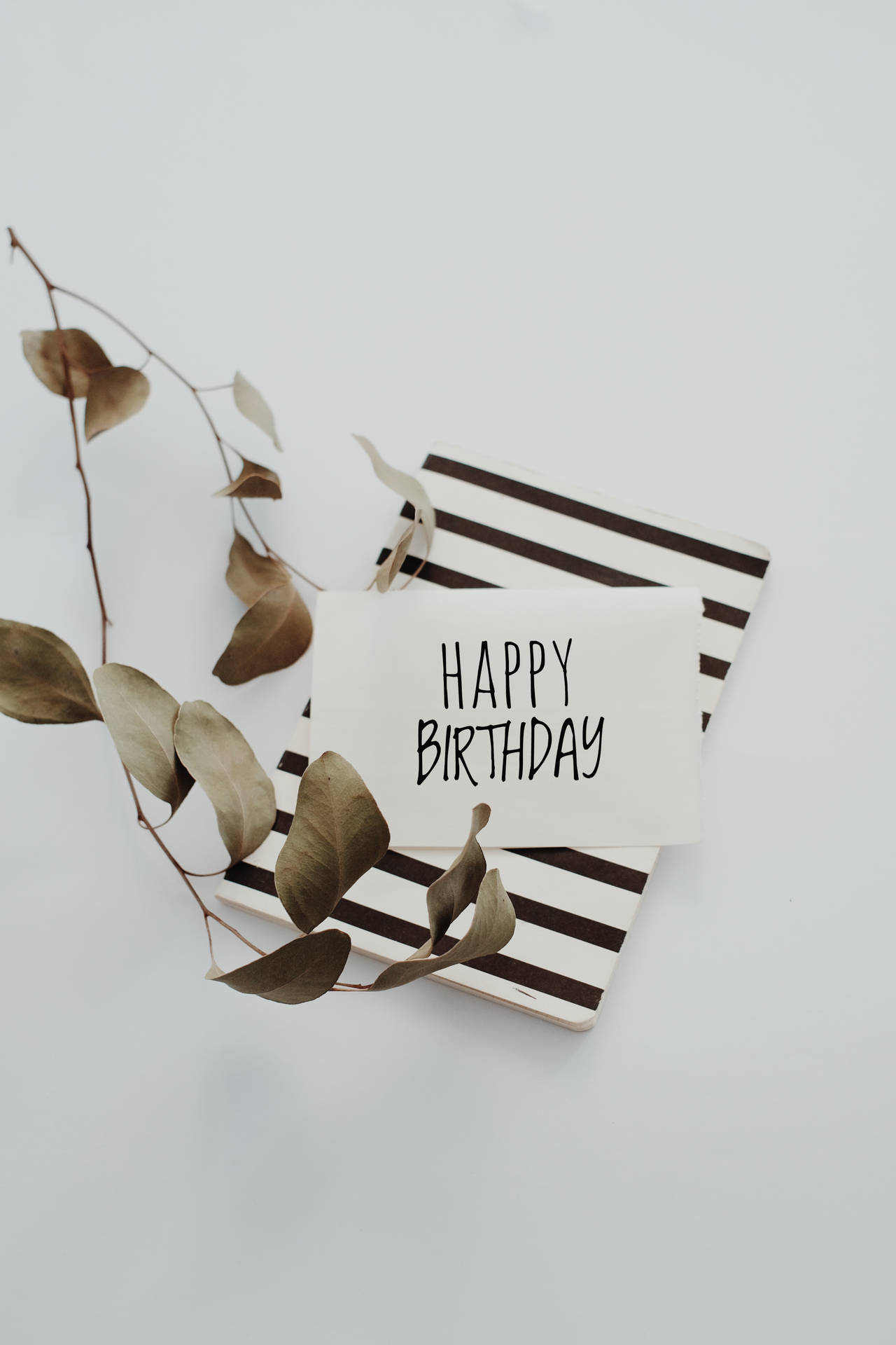 Birthday Black And White Greeting Card Background