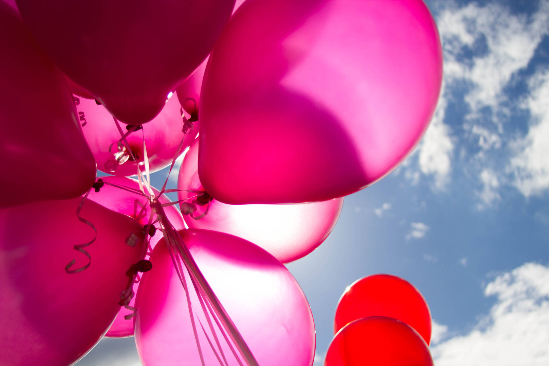 Birthday Pink And Red Balloons Background