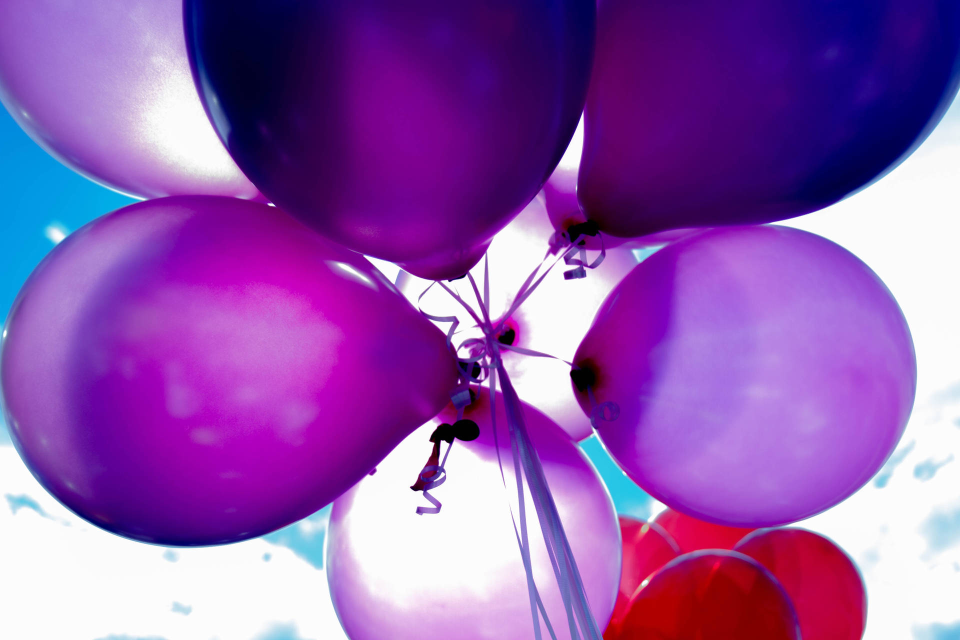 Birthday Purple Balloons Background