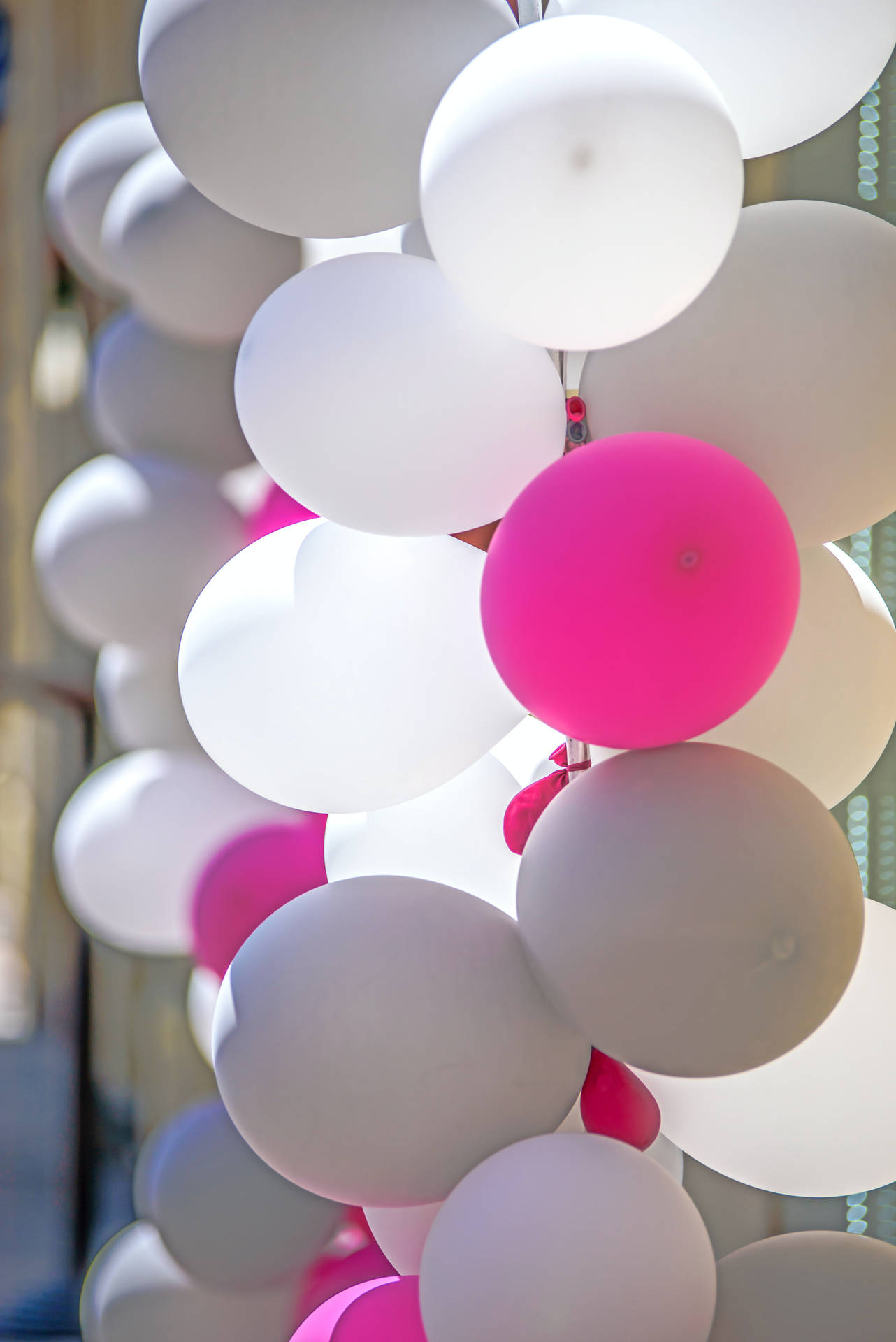Birthday White Pink And Gray Balloons Background