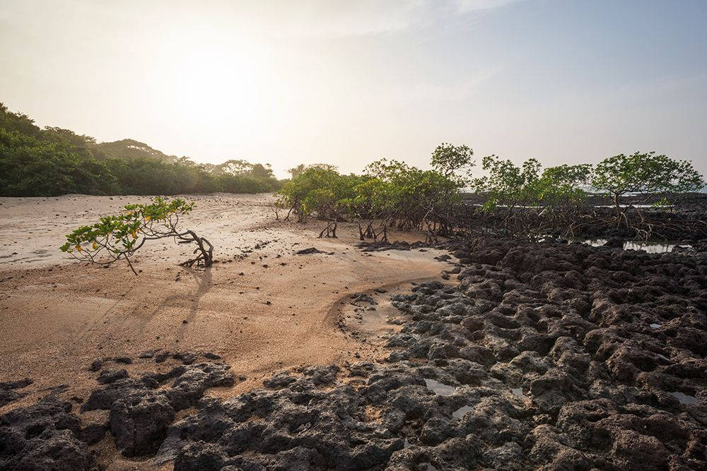 Bissagos Islands Guinea Bissau Background