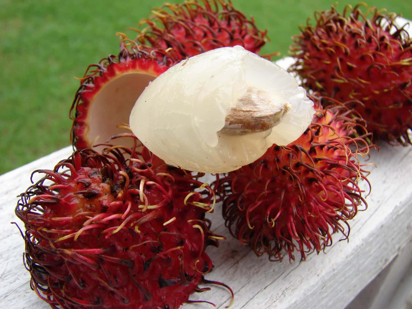 Bite Of Ripe Pulasan Fruits