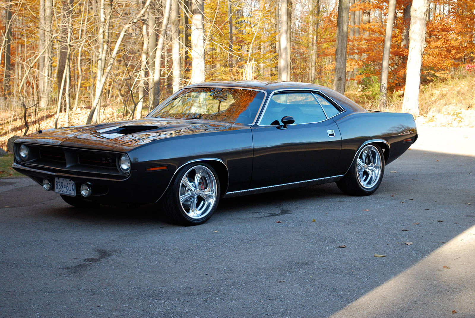 Black 1974 Plymouth Barracuda In Autumn Background