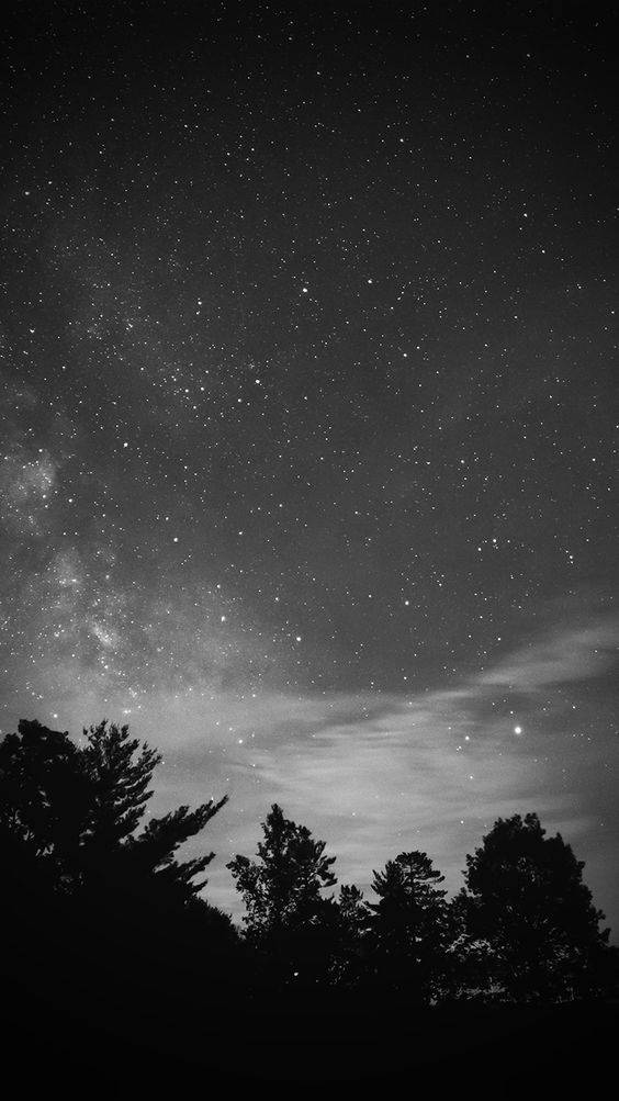 Black Aesthetic Iphone Trees And Stars Background