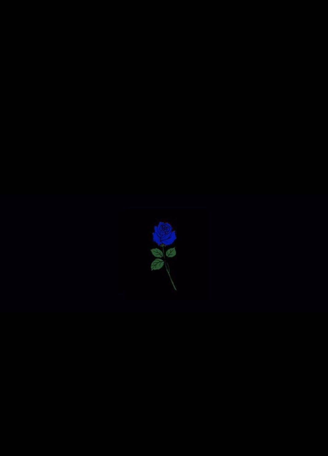 Black Aesthetic Phone Little Blue Rose Background