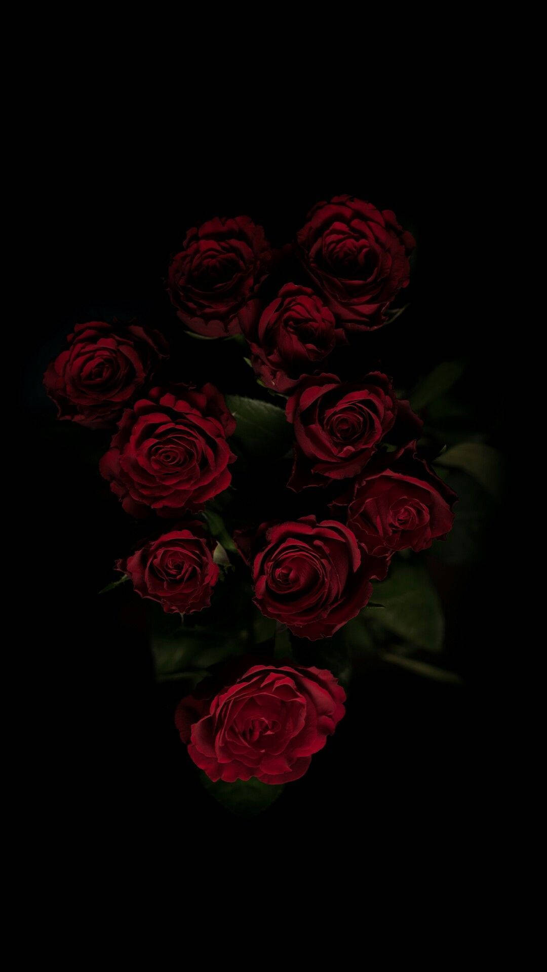 Black Aesthetic Rose Bouquet Background